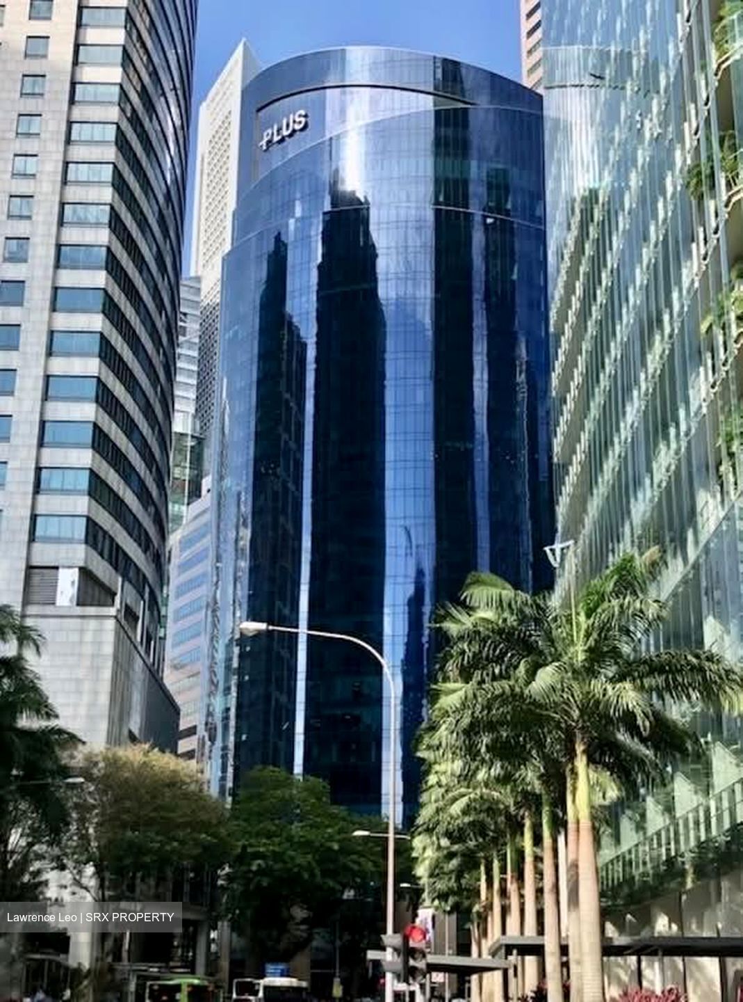 PLUS (D1), Office #559033841